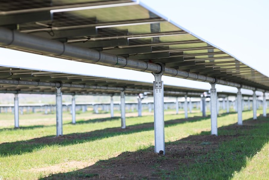 JBN FELM 00186 1600Px